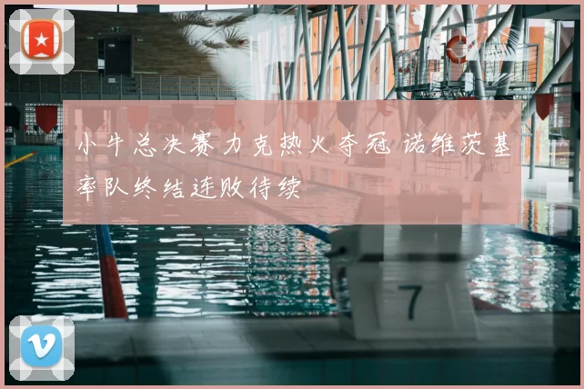 小牛总决赛力克热火夺冠 诺维茨基率队终结连败待续