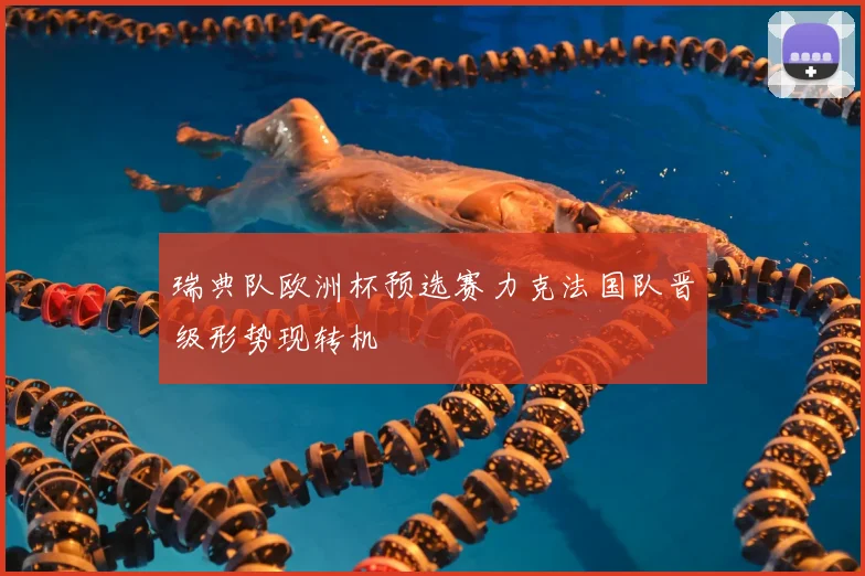 瑞典队欧洲杯预选赛力克法国队晋级形势现转机