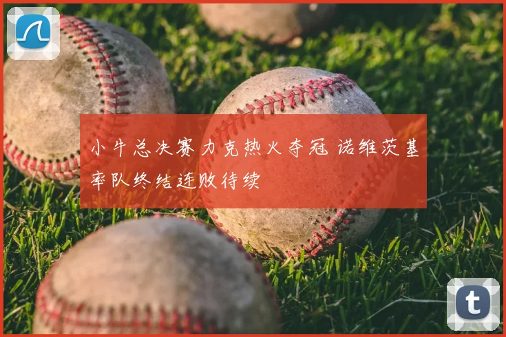 小牛总决赛力克热火夺冠 诺维茨基率队终结连败待续